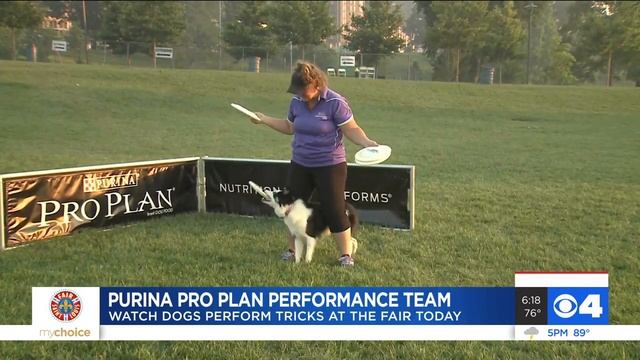 Purina Pro Plan Performance Team at Fair St. Louis смотреть онлайн