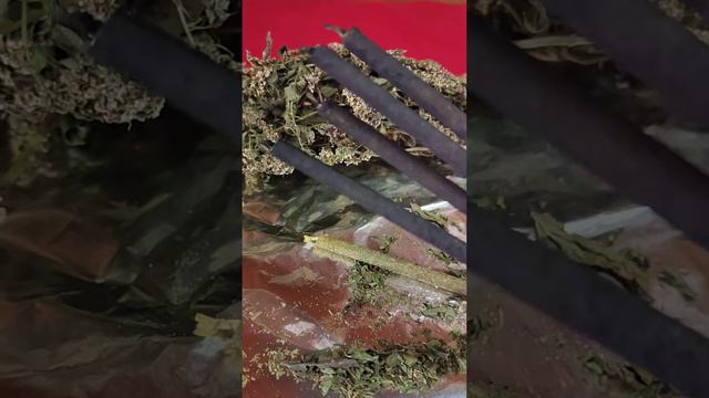 Зелёные и черные свечи . смотреть онлайн