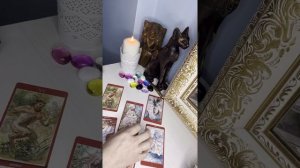 Расклад на измену ,есть ли у вас соперник соперница таро #таролог #картытаро #погадаем #раскладытар