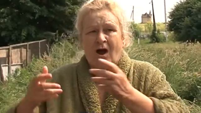 Мор пчел добрался до Курского района