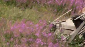 Река Кереть. Белое море.д. Кереть