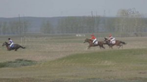 Скачка ЧКВ Райкова 2016 (Лошади-Horse–Animal-racing-конь-смотреть-онлайн-скачки)