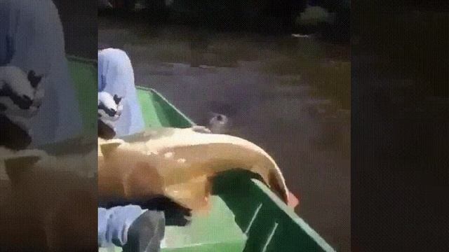 Инспектор
