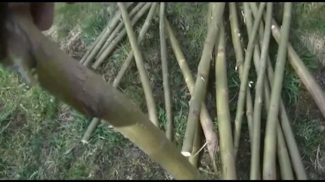 УГОЩЕНИЕ КРОЛИКАМ, МОРКОВНАЯ БОТВА смотреть онлайн