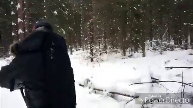 Зимний поход в лес (зима, лесное озеро, следы зайца, хатсан 125, привалы, пристрелка, водочка) смотреть онлайн