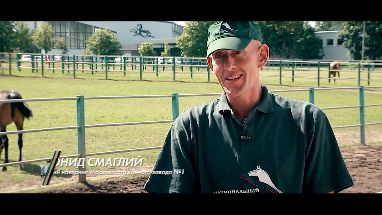 Орловские рысаки Московского конного завода №1 - гордость и достояние России. смотреть онлайн