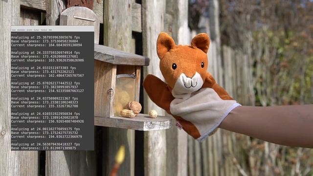 Squirrel photo trap with a Sony Alpha and a Raspberry Pi смотреть онлайн