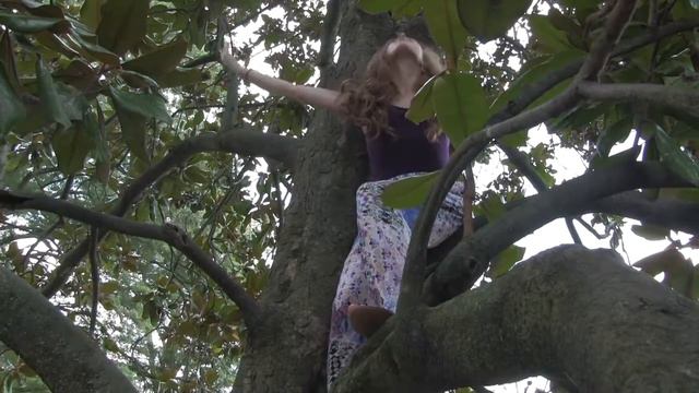 Duke Dance for the Camera: In the Magnolia Tree смотреть онлайн