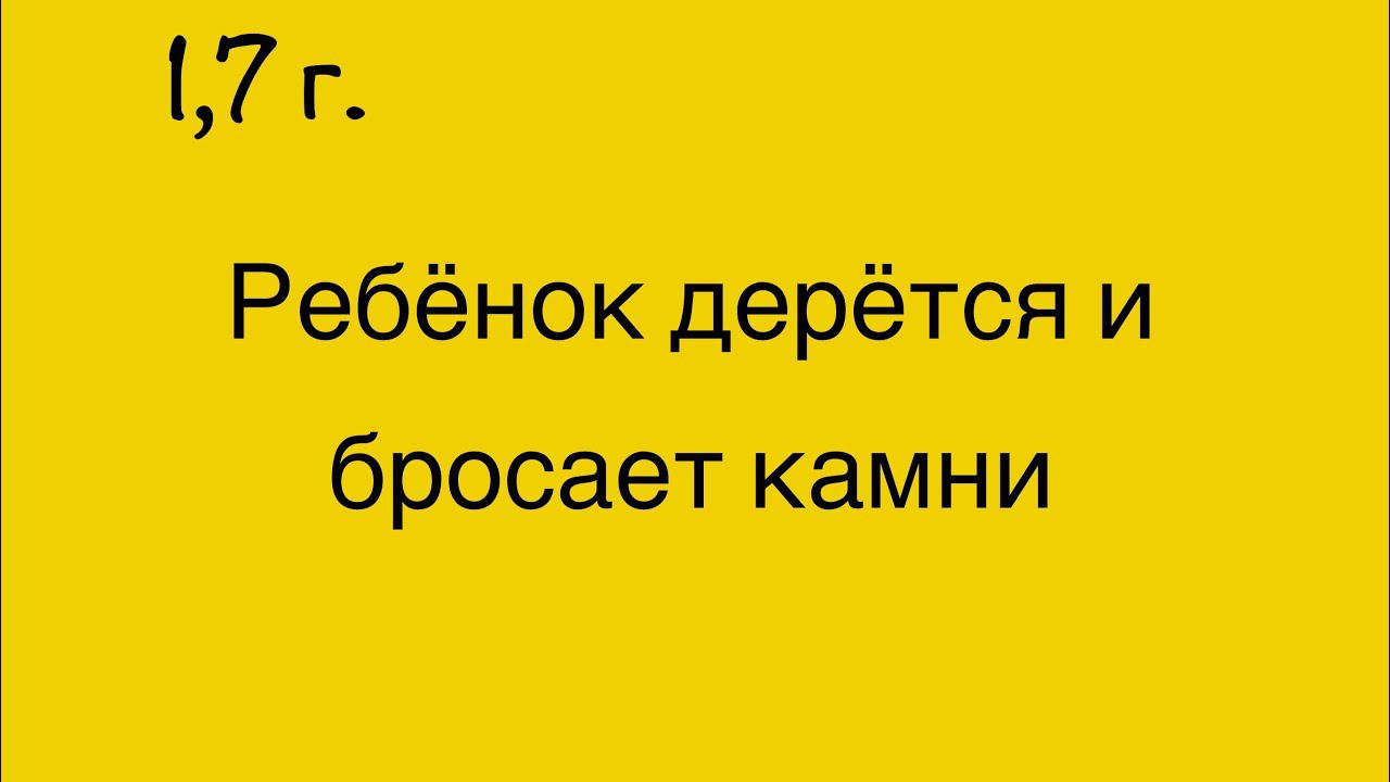 1,7. Ребёнок дерётся и бросает камни