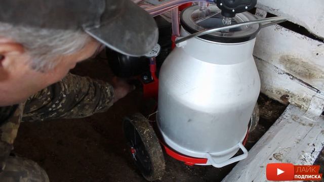 тест доильного аппарата сухого типа для коров смотреть онлайн