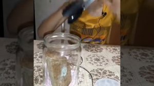 Выращиваю плесень на хлебе?! Опыт по биологии!?