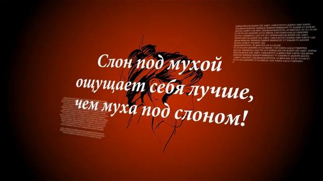 41 Креативные ВидеоПоздравления