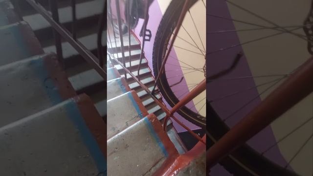 хранение велосипеда в подъезде