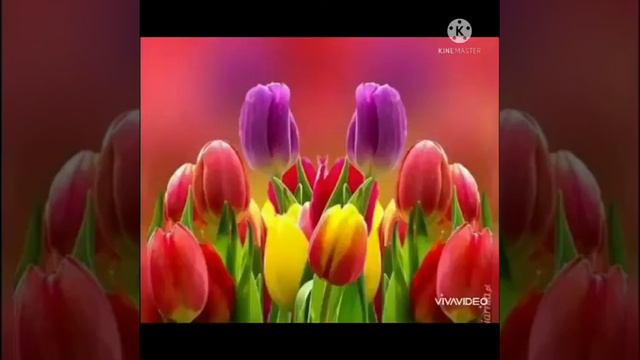 Он сегиз жаш кайдасын смотреть онлайн