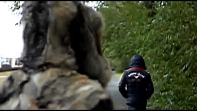 Without Admin! БУДЬ СРЕДИ ПЕРВЫХ! ВСЕ У ВАС В ГОЛОВЕ!