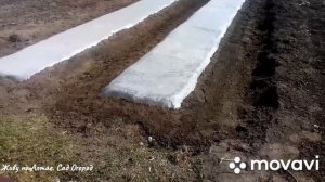 Лучшие место и грунт на участке для выращивания арбузов и дынь на плёнке.