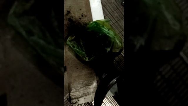 Чистка огибной роликовой батареи эскалатора. #Otis 506,508 смотреть онлайн