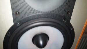 Paradigm Monitor 5 v3 Quality Test