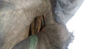 ЗИМНЯЯ РЫБАЛКА НА реке ОМЬ 2020г // ВСЕЙ СЕМЬЕЙ ОТДЫХАЕМ //