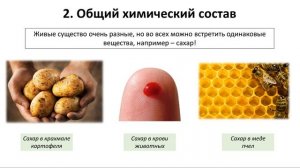 2. Свойства живого (5 класс) - введение в Биологию
