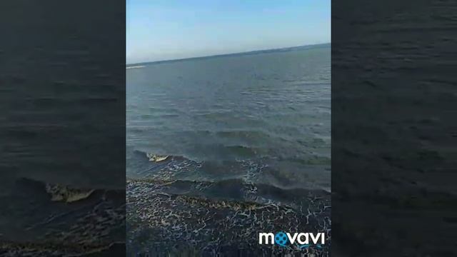 Гироскутер. Мастерство) не смотреть онлайн