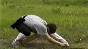 Ушу: уникальный разминочный комплекс упражнений "Ши да пань чжоу" (十大盘周) ??