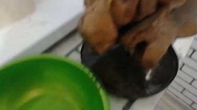 Домашняя коптильня: коптим мясо на щепе Бук