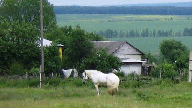 Черный квадрат - не наш формат! смотреть онлайн