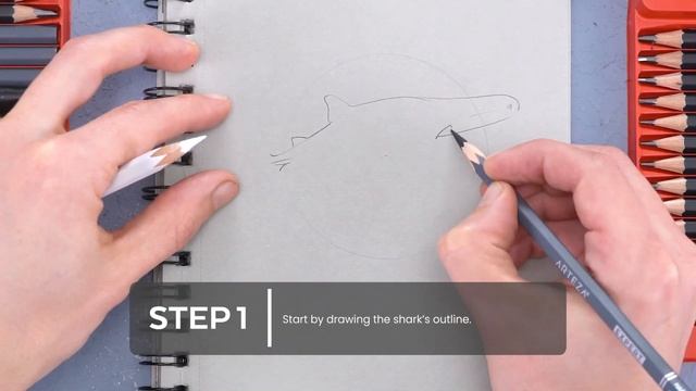 ? How To Draw Sea Animals Step-by-Step (9 OCEAN CREATURES)? смотреть онлайн