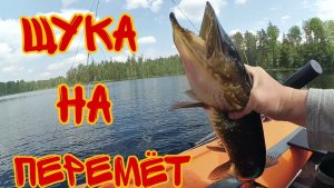 Рыбалка на хищную рыбу. Два дня на жаре. Перемëт, спиннинг, кружки