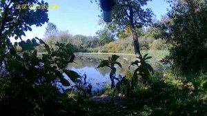 Hatsan AT 44-10 wood long 4,5