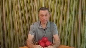 Лобо - сорт яблони