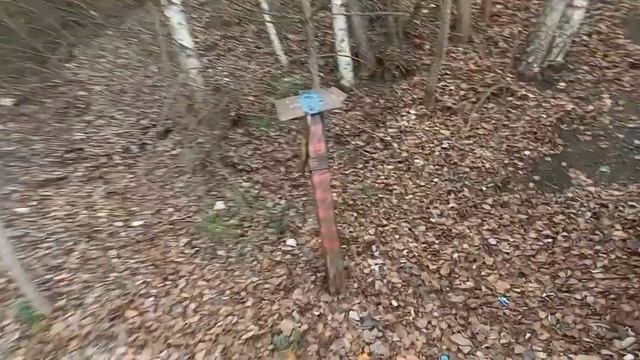 Посетили 