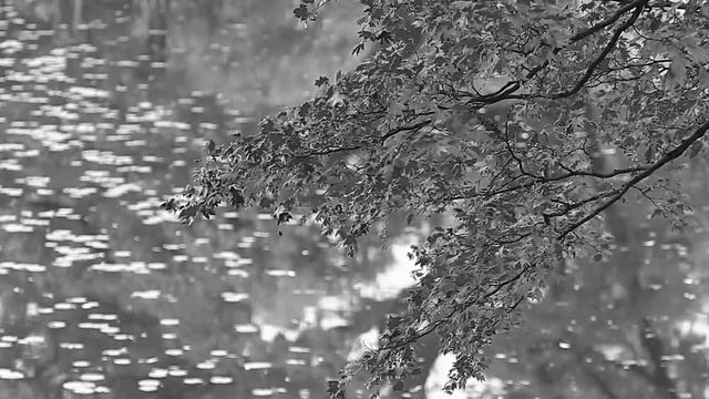 Fausto Bottai, VARIAZIONE su la CHANSON DE L' ADIEU di F. P. Tosti (flauto dolce e piano) смотреть онлайн