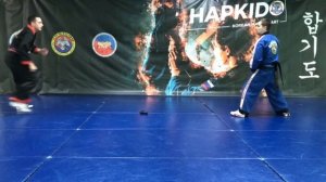 Russia Hapkido Yusul   Suslov Ivan Ilyin David