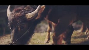 Погода в Нячанге в Июне. Отдых летом во Вьетнаме.