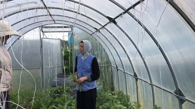 Природное земледелие- творчество и радость.