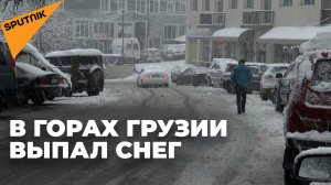 Настоящая зима в Грузии: сильный снегопад в горах Аджарии