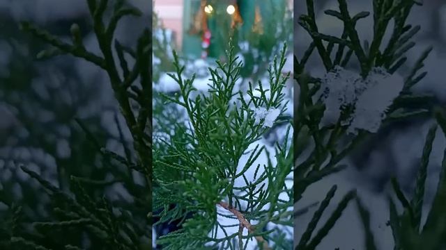 Зимняя сказка ? смотреть онлайн