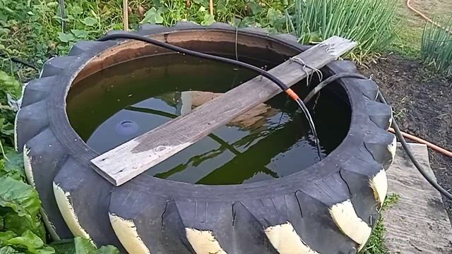 Полив картофеля