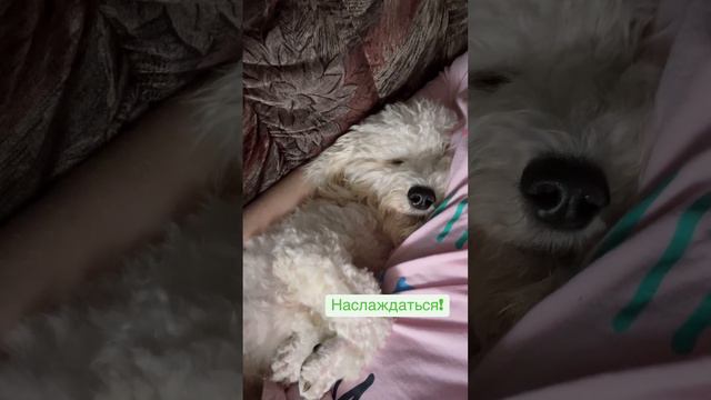 Наслаждайся моментом!