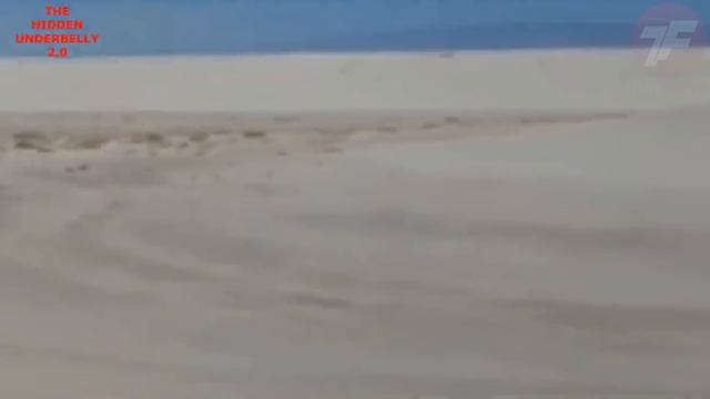 Если Бы Это Не Засняли на Камеру, Никто Бы не Поверил смотреть онлайн