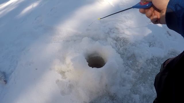 ЗАКРЫЛИ СЕЗОН НА РЕКЕ ЕТЫПУР! ЕСТЬ БОНУС! смотреть онлайн