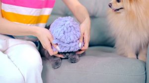 ДЕЛАЮ ШАПОЧКИ ДЛЯ КОТИКА И ПЁСИКА | БАЛАКЛАВА ДЛЯ КИСЫ И СОБАЧКИ - ОДЕЖДА ДЛЯ ПИТОМЦЕВ