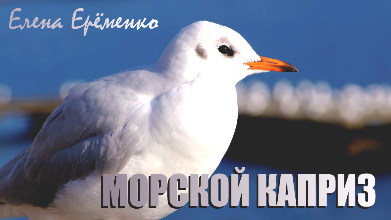 Елена Ерёменко - Морской каприз ?Музыка для души
