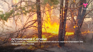 На 14 июня на территории Тюменской области зарегистрировано 284 ландшафтных пожара