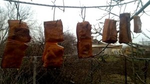 Домашнее копчение. Свиной подчеревок и куриные крылышки.