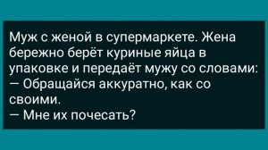 Вовочка Пошел в Женский Туалет! Сборник Свежих Анекдотов! Юмор!