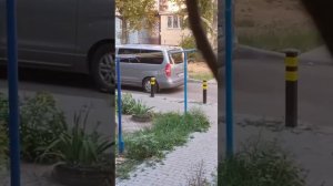 Земобилизация в Одессе, мужчин воруют прямо на улице