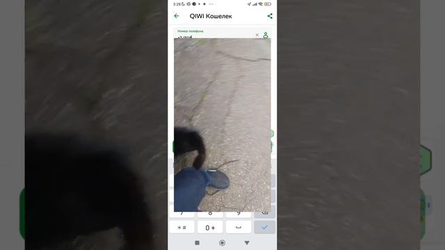 как пополнить киви через Сбербанк